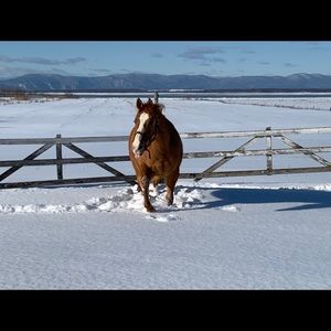 Meet your Posher, Maripier